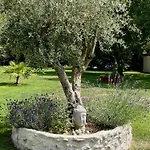 La Folie De Villa