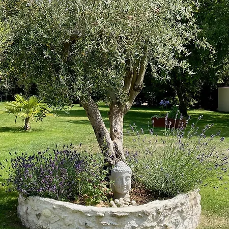 La Folie De Villa